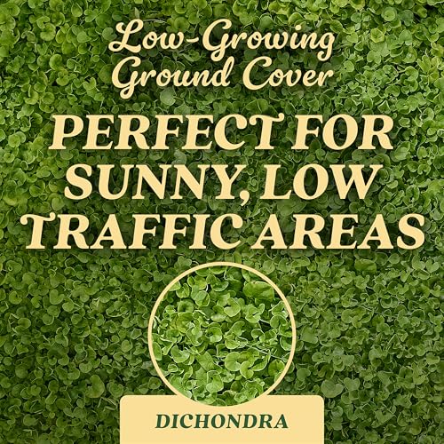 Grass Seed Blends For Low Maintenance And Minimal Mowing