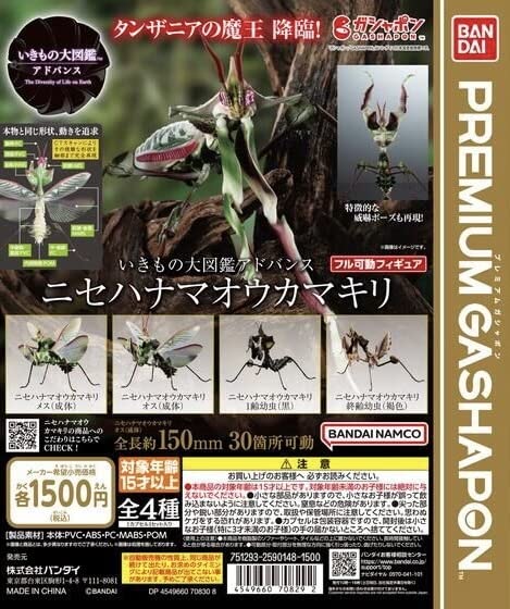 Amazon.co.jp: オス(成体)いきもの大図鑑アドバンス ニセハナマオウ