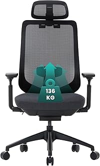 Ergonomic Mesh Office Chair, High Back Computer Executive Desk Chair with Adjustable Headrest and 4D Arms, Slide Seat, Tilt Lock, Black