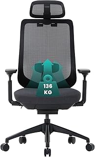 Ergonomic Mesh Office Chair, High Back Computer Executive Desk Chair with Adjustable Headrest and 4D Arms, Slide Seat, Tilt Lock, Black