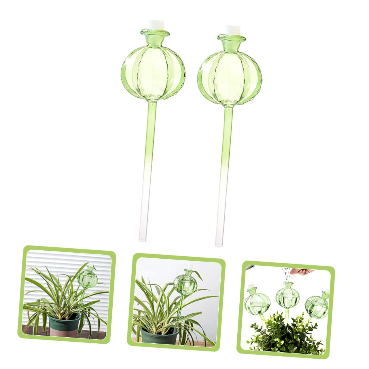Sosoport 6pièces Globe Arrosage Automatique Verre Transparent pour Plantes Intérieur Et Lot pour Fleurs Et Bonsaïs Facile à Utiliser Observer