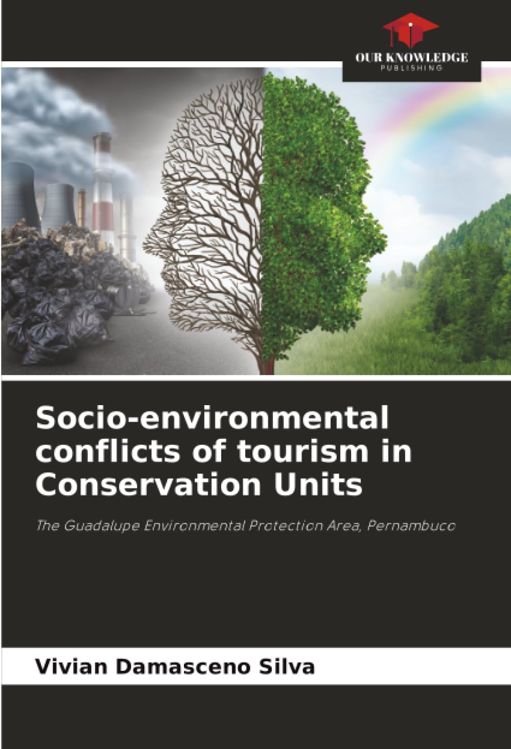 Socio-environmental conflicts of tourism in Conservation Units: The Guadalupe Environmental Protection Area, Pernambuco