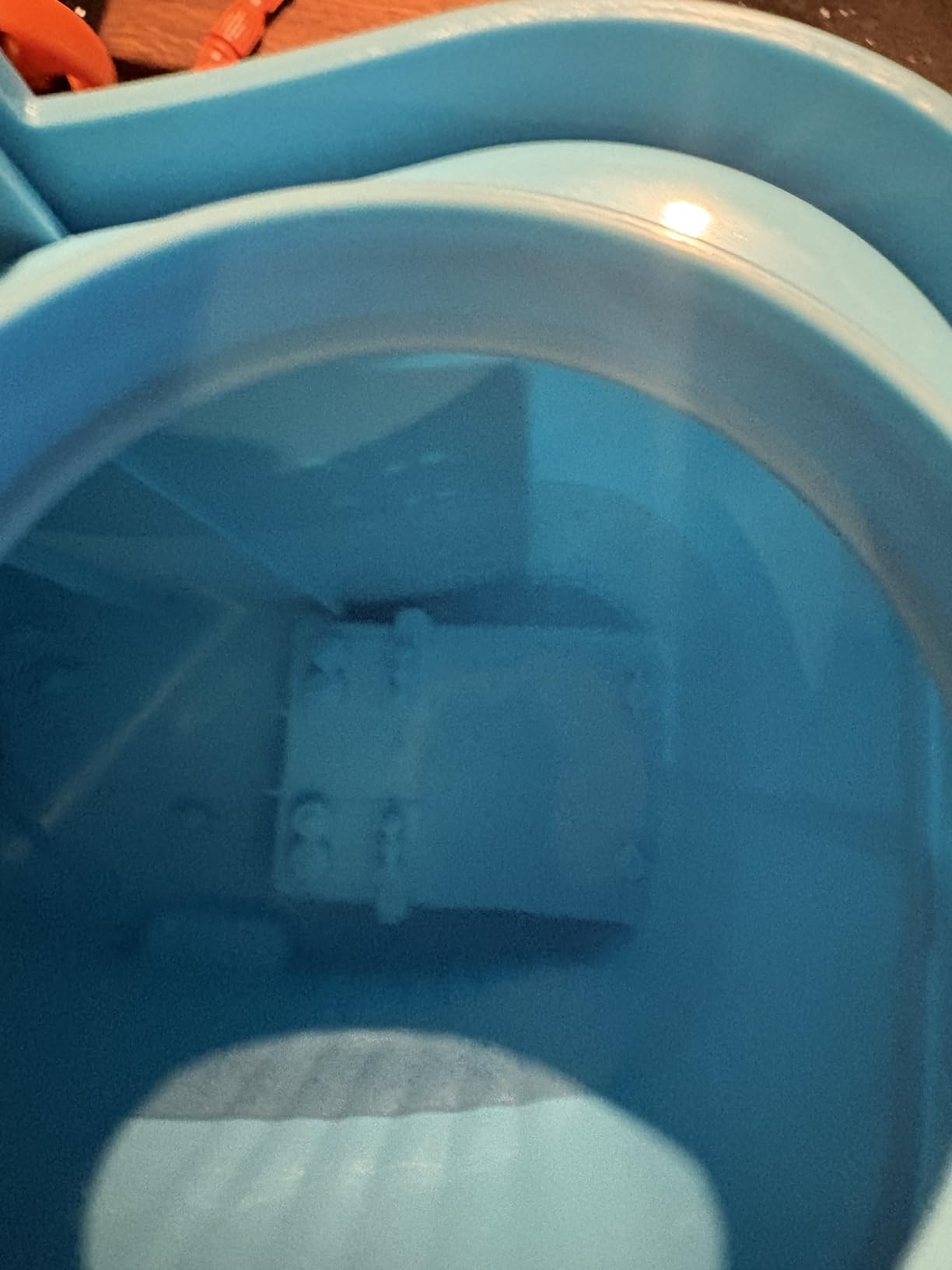 Customer photo