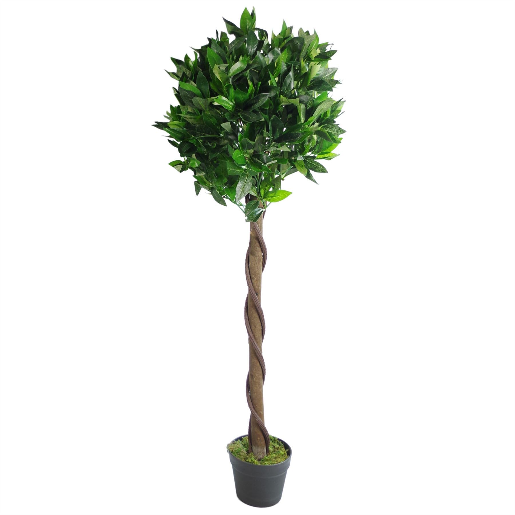 Leaf Artificial Topiary Bay Tree With Twisted Natural Trunk 120Cm