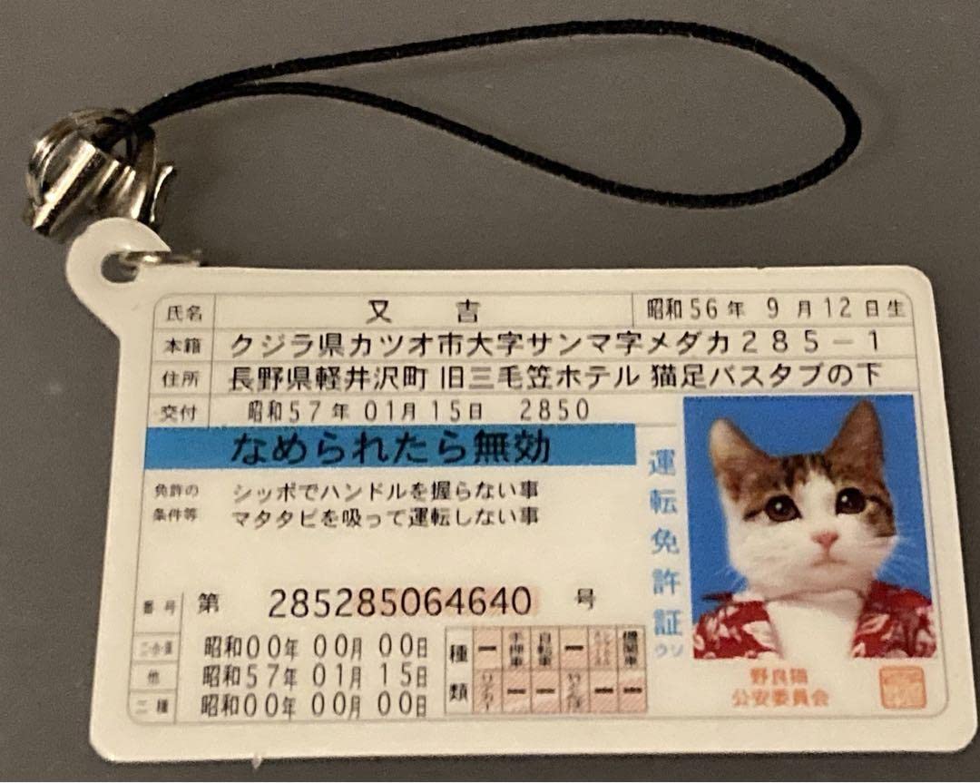 Amazon.co.jp: 元祖なめ猫 なめんなよ なめねこ 昭和レトロ 免許証 