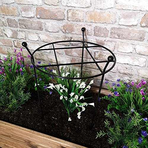 Samuel ALEXANDER Heavy Duty Black Metal Steel Herbaceous Garden Plant Support Grow Through Small 60cm x 35cm