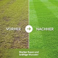 TerraDomi Rasendünger Herbst 20kg für 500m² ohne Chlorid – Ansicht 4