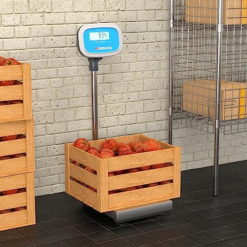 Báscula Industrial Digital BS150T 150 lb con Display miniatura 4