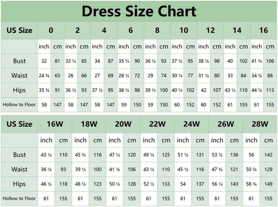 Chiffon Bridesmaid Dresses for Women 2025 One Shoulder Pleated Formal Gowns Long Wedding Guest Dresses