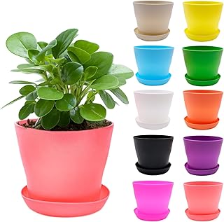 Best 5 Colorful Plastic Pots for Mini Balcony Garden Review 3 Colorful Plastic Mini Flower Pots