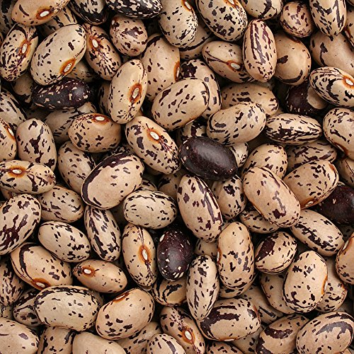 ̂瓤 - kCY Y@ϓT_AX[vȂǂ낢Ȃɂ閜\ (1000g)