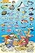 Bonaire Reef Creatures Guide Franko Maps Laminated Fish Card 4" x 6"