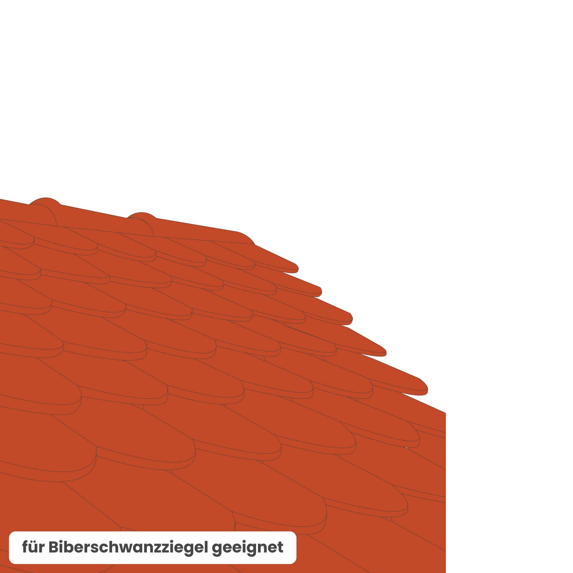 Laufrost Set für flache Dachziegel 60cm, Dachtritte für Schornsteinfeger Ziegelrot, inkl. Montagematerial für sichere Dachbegehung