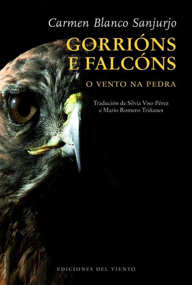 GORRIONS E FALCONS (VIENTO NORDES): O vento na pedra: 2