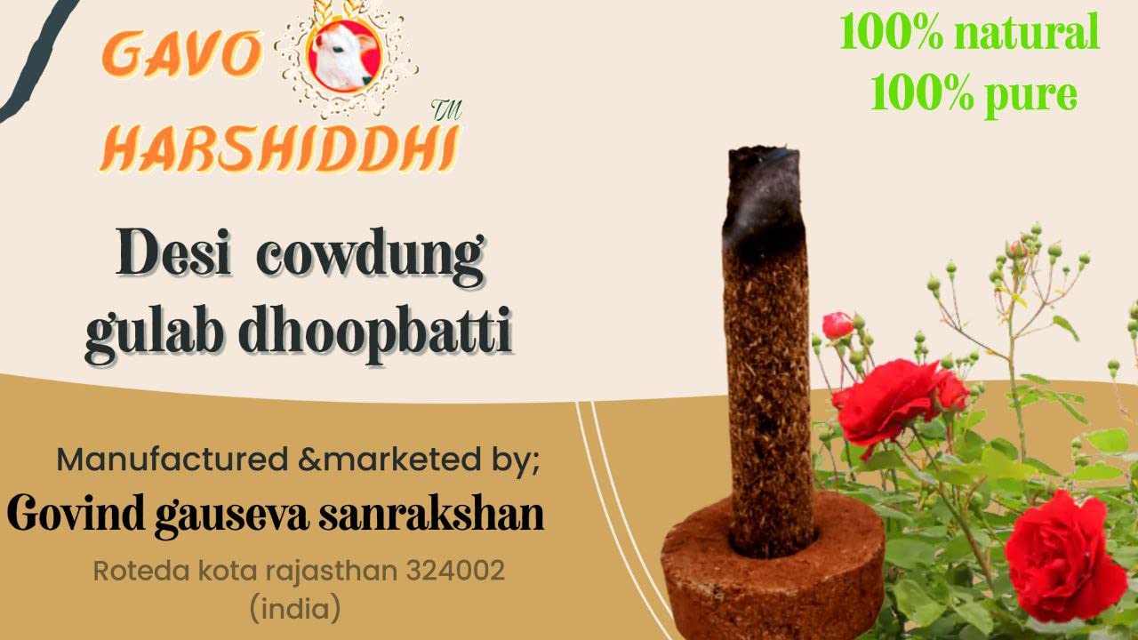 GAVO HARSHIDDHI Natural Cow Dung Special Dhoop Batti/Organic Incense Sticks - 60 Sticks - 2.5 inch (Gulab - Rose)