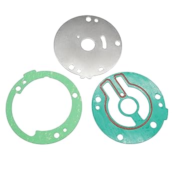Amazon.com: GHmarine 689W0078 Water Pump Impeller Kit for