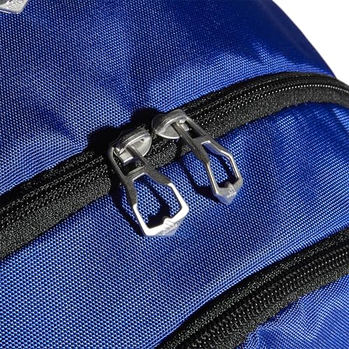 Image of Striker Team Sports Backpack for soccer and more, workout bag for men and women