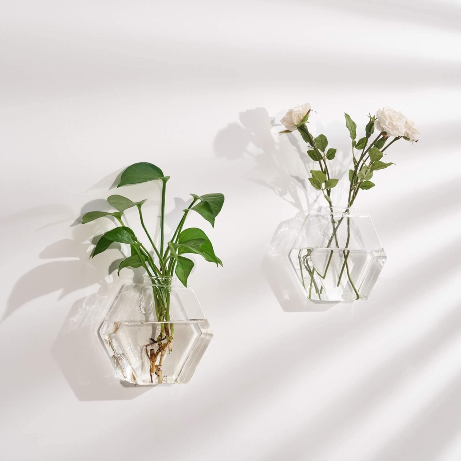 Glass Wall Planters 6PcsTerrarium Hanging Air Plant Holders Containers for Hydroponics Plants, Succulents, Herbs, Flowers (Hexagon)