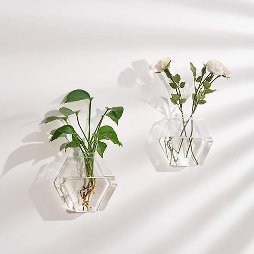 Miniatura 3 de Macetas de pared de vidrio, 6 unidades, terrario, soportes colgantes para plantas hidropónicas, suculentas, hierbas, flores (hexagonal)