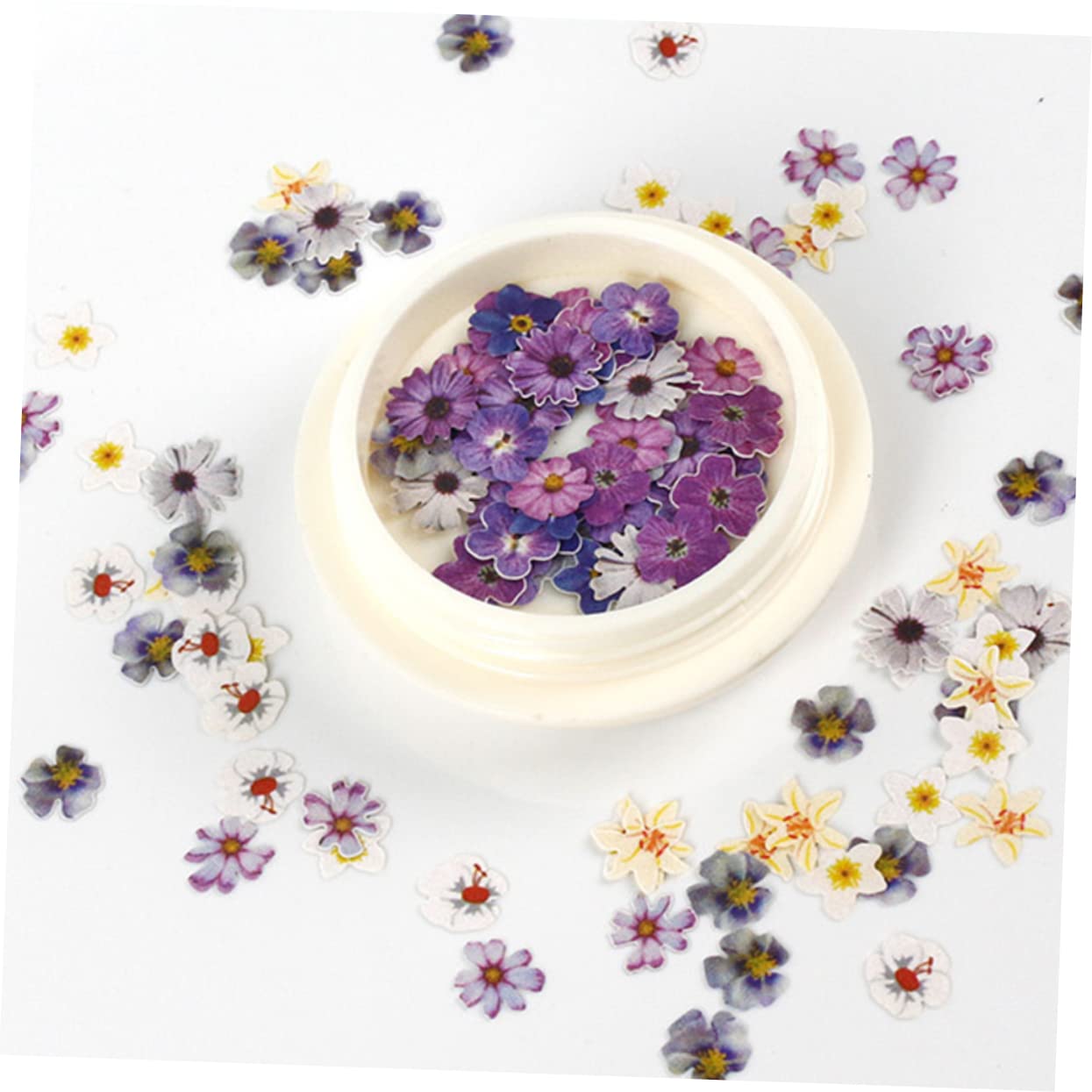 3 Set Sticker Unghie Fiori Secchi Per Decorazioni Manicure Diy Adesivi Autoadesivi Per Nail Art Facili Usare Per Appassionati E Professionisti 8 Scatole*3