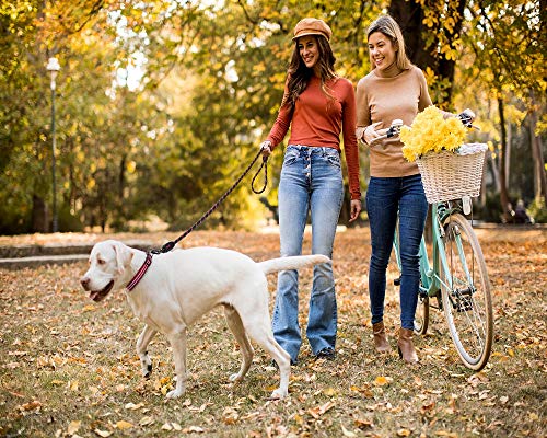 Kruz Reflective Dog Leash - KZROPE5060-L8L - Soft Silicone Grip - Click & Lock Snap - Pet Walking, Running, Training - Heavy-Duty, Durable Rope - Security, Control and Comfort - Orange - 1/2" x 5 FT - Thumbnail 7