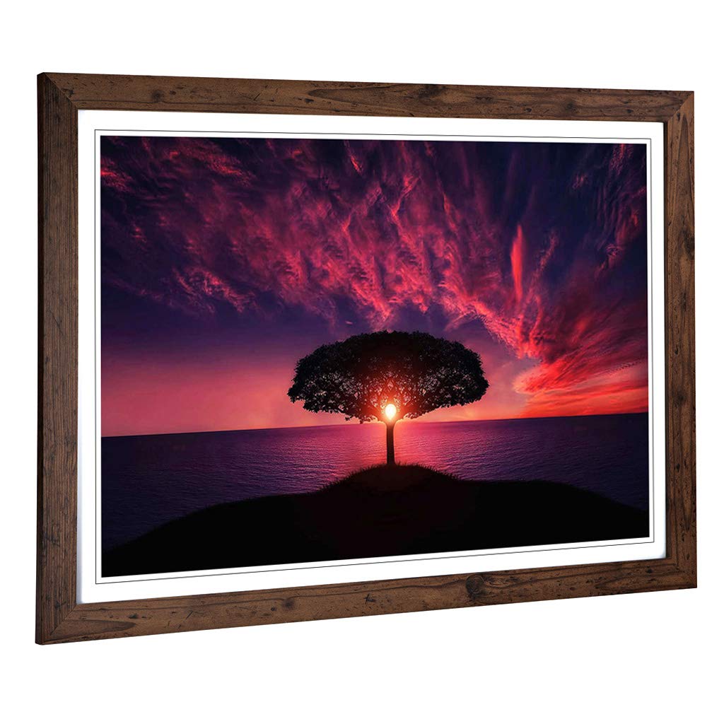 Big Box Art Framed Print of Landscape Lone Tree Purple Sunset Design | Wall Art Picture | Home Decor for Kitchen, Living Room, Bedroom, Hallway, Walnut, A2 / 24.5x18 Inch / 62x45cm