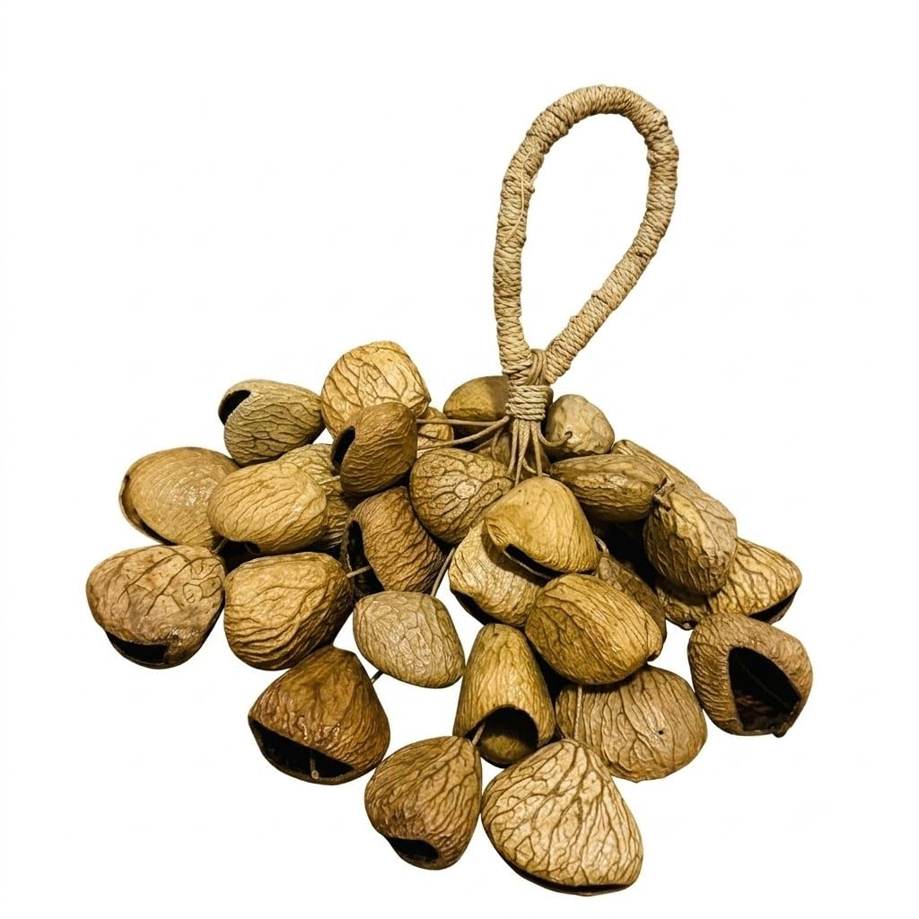 Wyvix 30-Pod Seed Shell Rattle, Ready-to-Play Large Nut Shaker Handbell, Water Sound Instrument for Yoga, Meditation & Dance Accompaniment