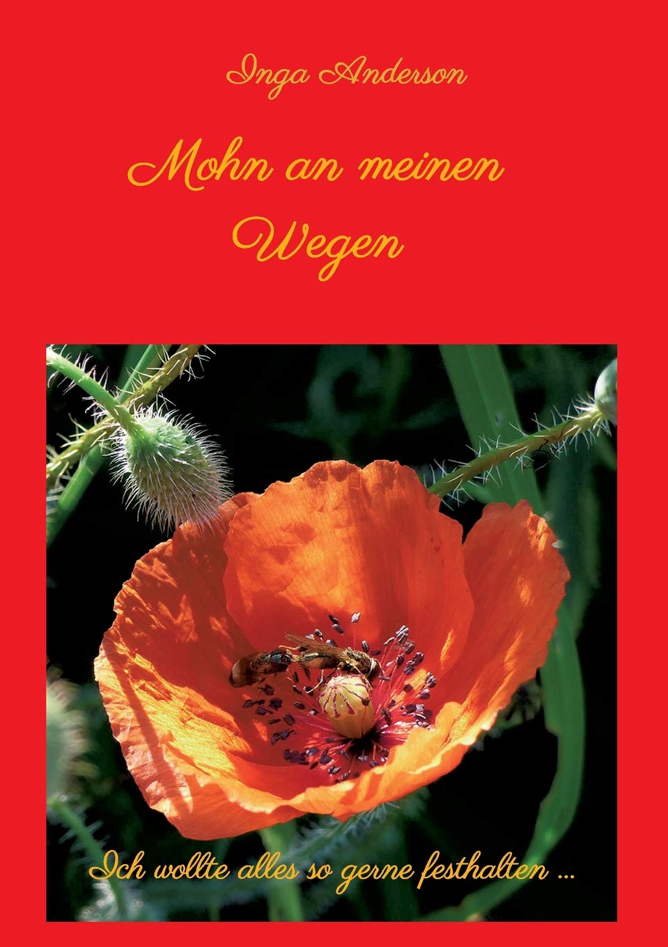 Mohn an meinen Wegen...