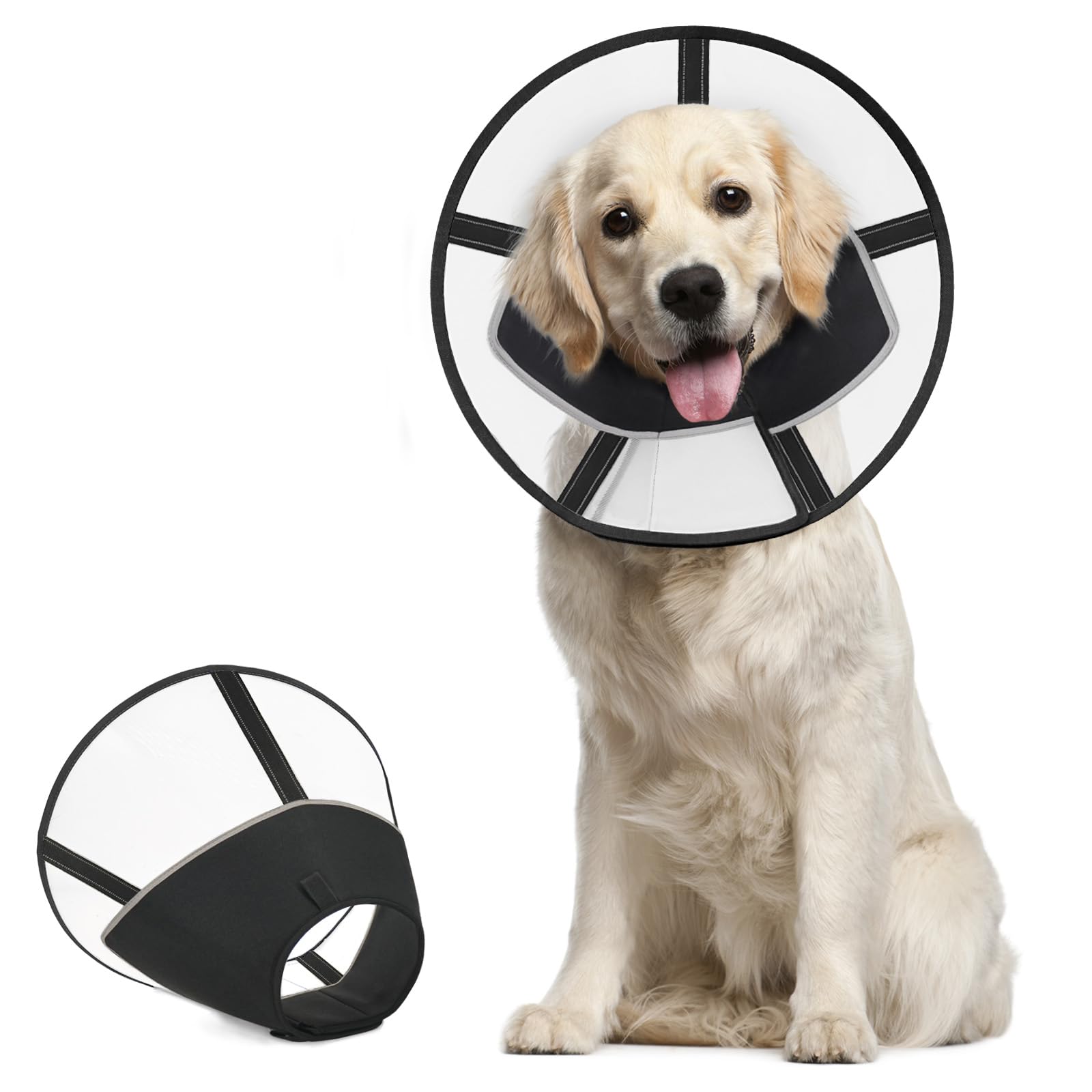 Discount collar of shame Free Shipping