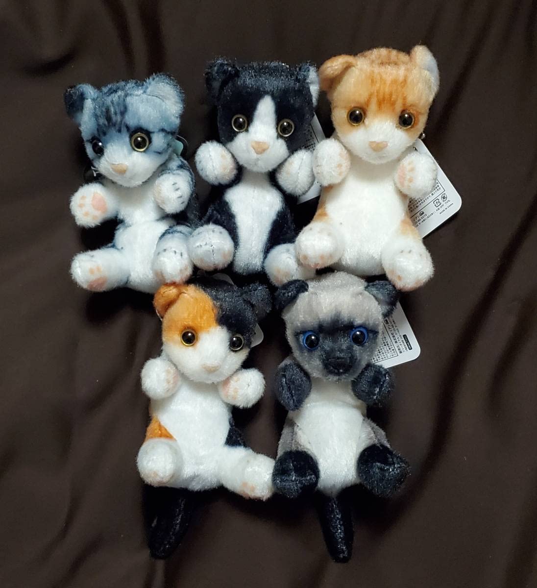 猫つまんでマスコットBC　猫　ぬいぐるみ　猫つまんで　マスコット　リアルアニマル Amazon.co.jp: 猫つまんでマスコットBC 猫つまんで マスコット