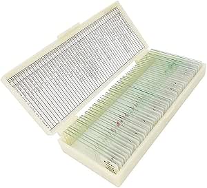 Amazon.co.jp: Microscope Glass Slide, 50 PCS Prepared Microscope Slide ...