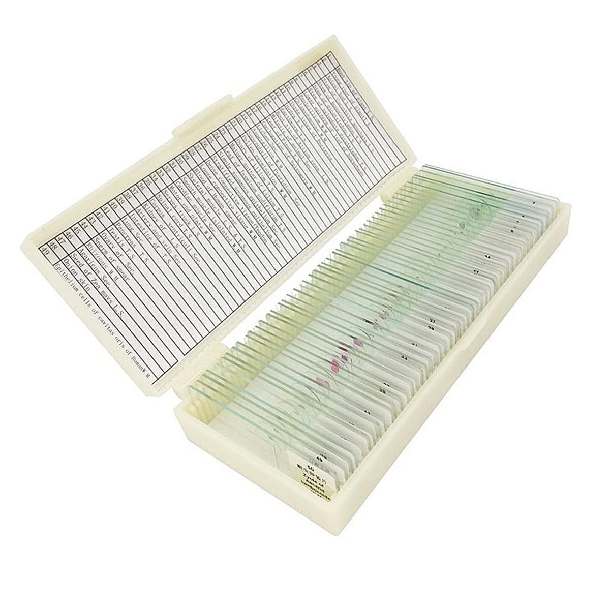Portaobjetos de vidrio for microscopio, 50 portaobjetos de microscopio preparados, rebanada en caja, muestra de aprendizaje for enseñanza de ciencias básicas Accesorios para microscopios de laboratori