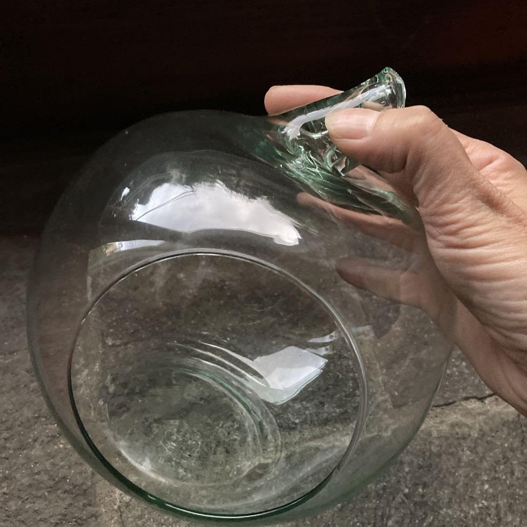 Amazon.co.jp: スウェーデン ロールストランド テラリウム : Home  