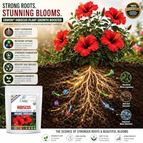 Image of Erwon Hibiscus Plant Growth Booster, Premium Essential Powerful Organic Fertilizer For Overall Growth Of Hibiscus Plants, With Charged Micro-Organism And ++ Micronutrients. (900 gm)