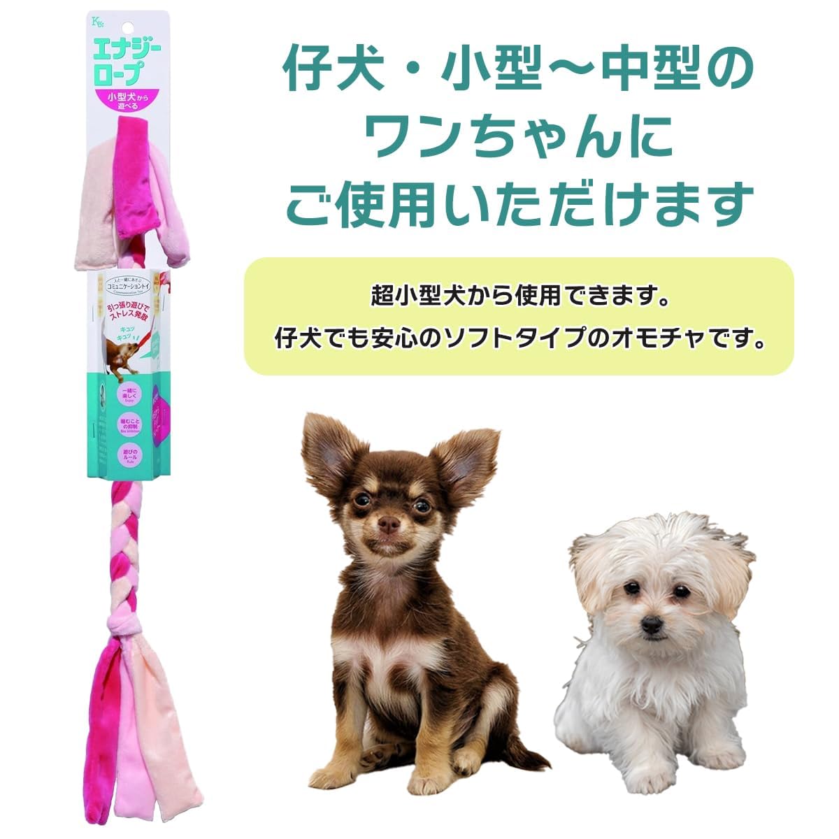 新品未使用　猛禽類・爬虫類　ピンキーポンプ　10cc ピンキーポンプ 爬虫類 両生類 猛禽類 ピンキーポンプ10