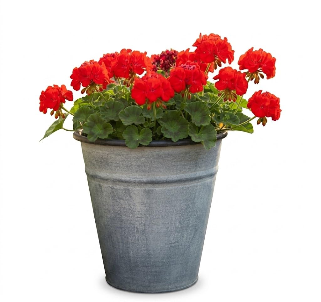 My Square Mile Grey Galvanised Rustic Vintage Round Metal Garden Plant Pot, Antique Aged Finish, 23Cm Height, 23Cm Diameter, Indoor Outdoor Use