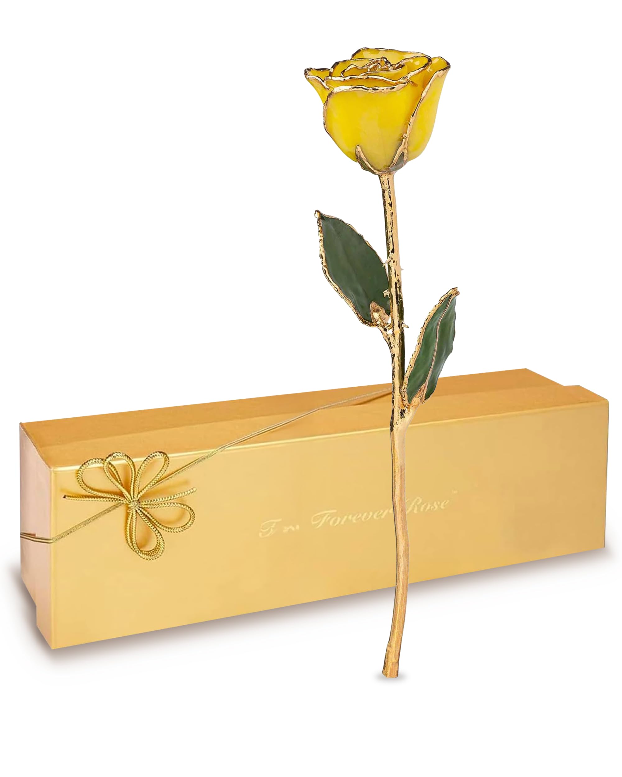 Amazon.com: Forever Rose Real Yellow Rose Dipped in 24K Gold with