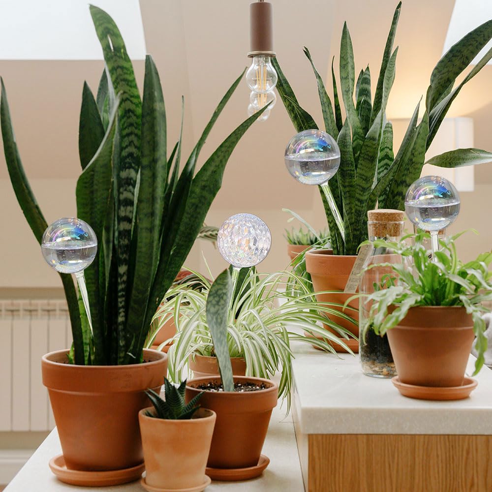 Amazon.com: 17 Oz 2 Weeks Glass Plant Watering Globes Large for Indoor  Outdoor Potted Plants Self Watering Planter Insert Bulbs Water Plants While  Away Vacation Devices (Iridescent Large 2-Pack) : Patio, Lawn