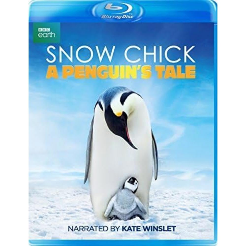 Snow Chick - A Penguin's Tale