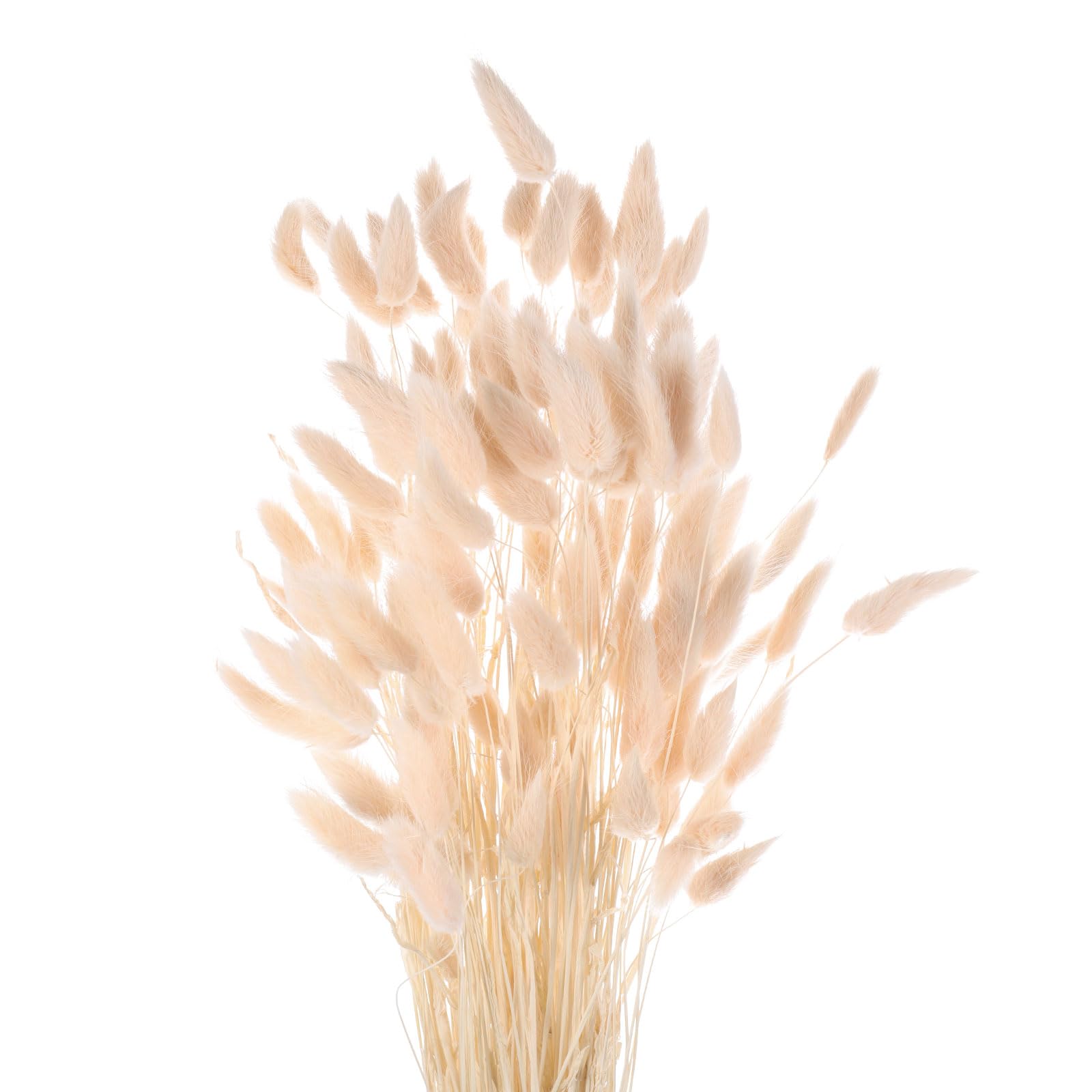 QUARKZMAN 120Pcs Queue de Lapin Naturelle Fleurs Séchées 60cm Rose Clair | Mini Herbe de Pampa Lagurus Ovatus, Bouquet pour Décoration Florale Mariage Noël