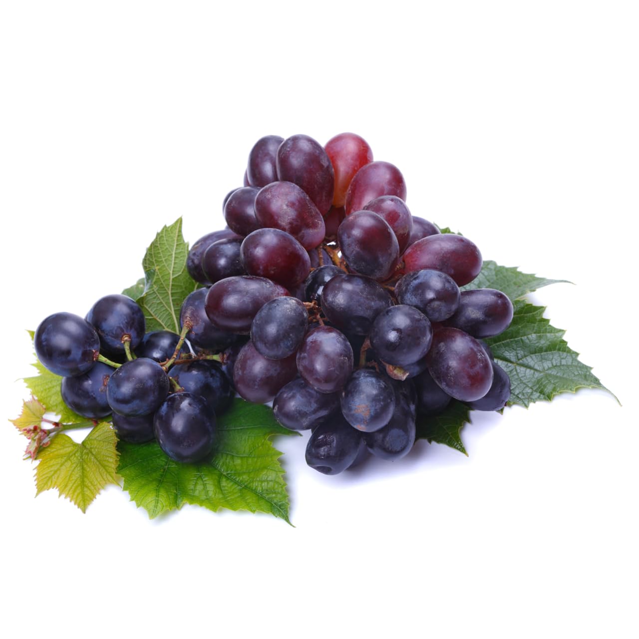 lipoLoges - 180 Kapseln - Für gesunde Cholesterin*- und Blutfettwerte**