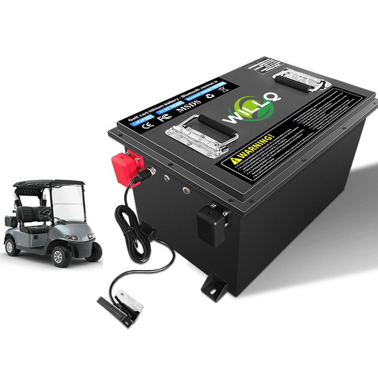 Batería para Carrito de Golf 51,2V batería LiFePO4 de 48 V