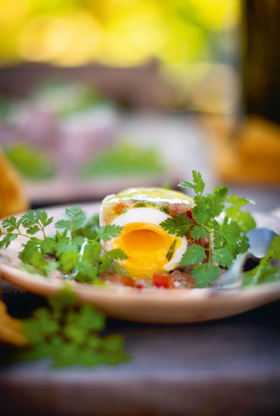La bonne cuisine bistrot de Marie Chioca: 75 recettes traditionnelles, bio et de saison
