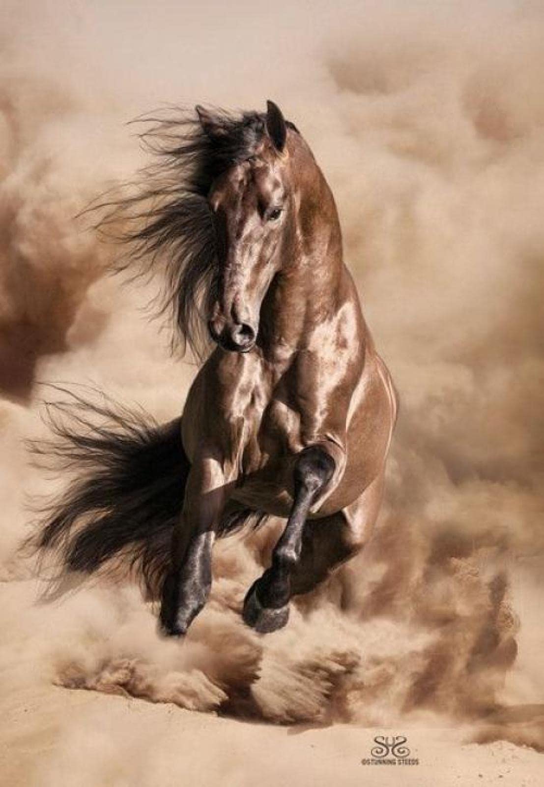 ERUZO 5d DIY Diamond Painting Animal Horse Full Round Diamond Embroidery Horse Cross Stitch Rhinestone Picture Home Decoration40x40cm