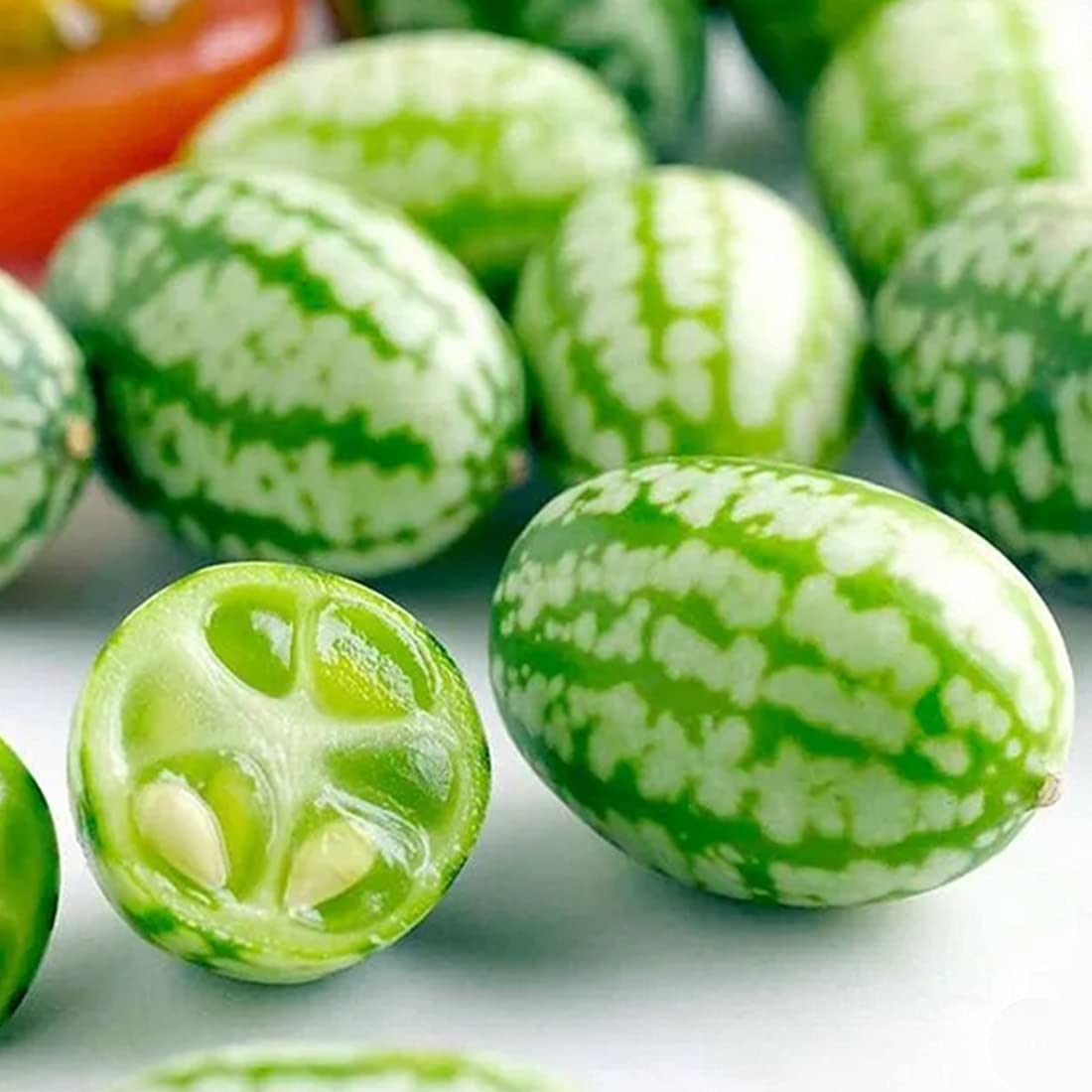 25 Cucamelon Seeds to Plant & Grow UK Tropical Fruit Trees