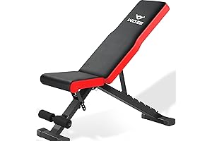 880LB Adjustable Mini Workout Bench for Your Home Gym