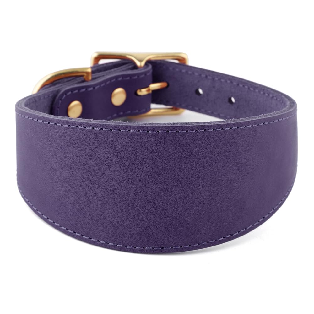 Snootiful Hound Leather Sighthound Collar | Fishtail Collar Ideal For Whippets, Greyhounds and Lurchers (Purple, 27-35cm)