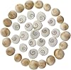 Home Genie Gomti Chakra Pack of 21 | Sacred Natural Shells for Wealth, Prosperity & Vastu Remedies | Spiritual Healing & Feng Shui Product