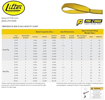 Liftex EE292X10PD Eye and Eye Pro-Edge Polyester Web Sling