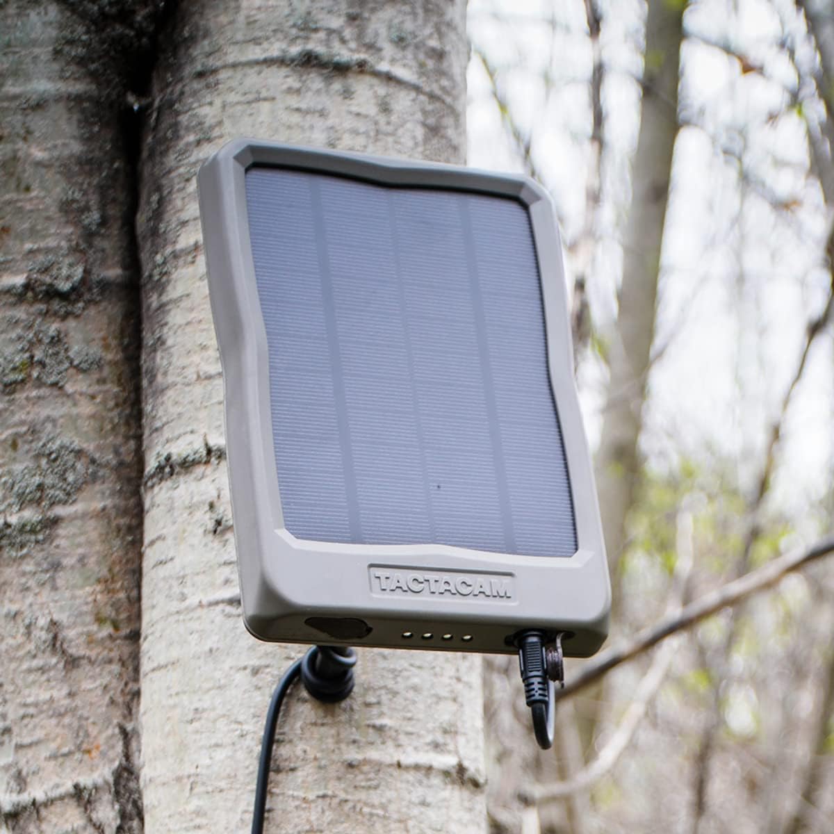 Close-up of the TACTACAM Reveal External Solar Panel mounted on a tree